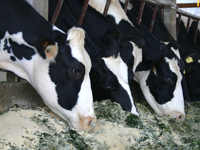 Agriculture et élevage